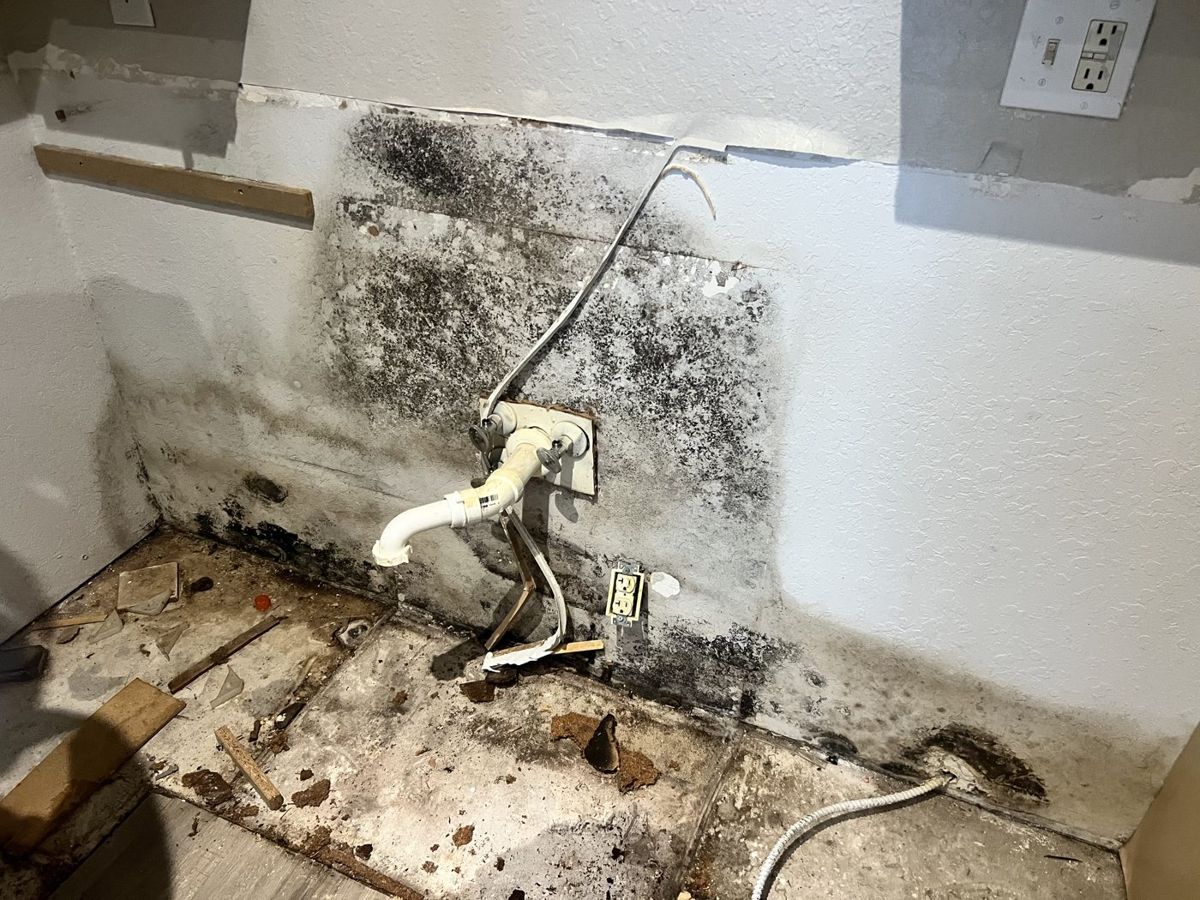 Mold remediation — before
